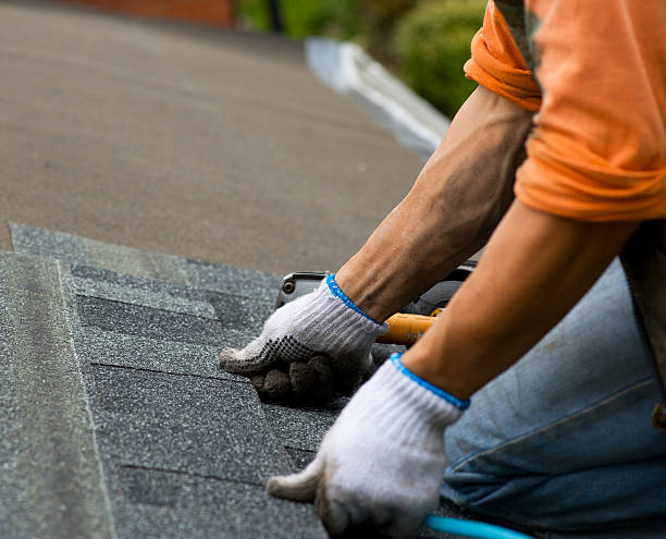 Quick and Trustworthy Emergency Roof Repair Services in San Luis, AZ